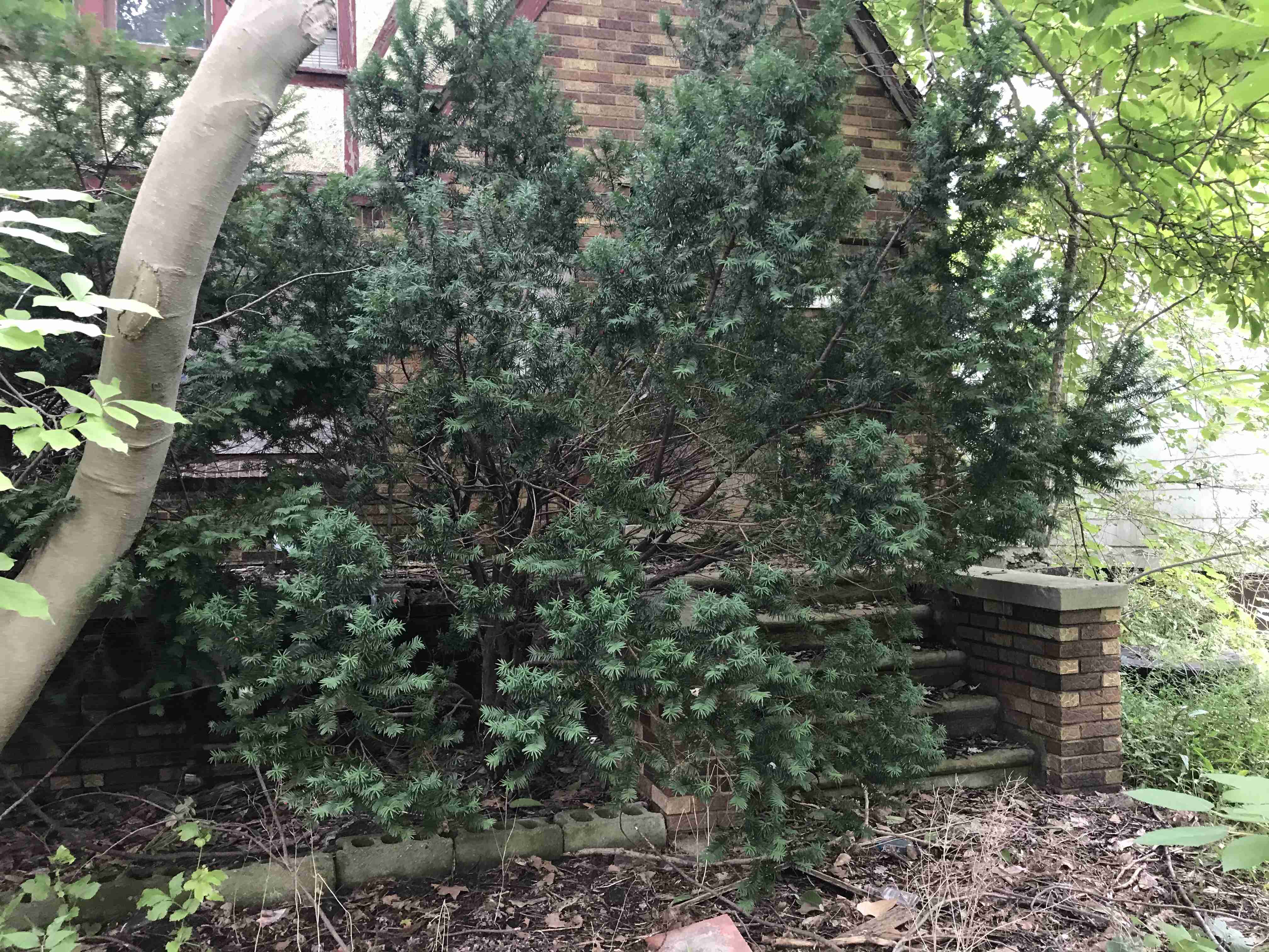 Photo Sep 10, 3 32 57 PM.jpg